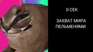 Шлёпа оценивает сколько варятся твои пельмени!!!