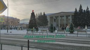 «Креативная елка 2024» г. Закаменск