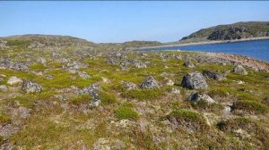 поселок Дальние Зеленцы