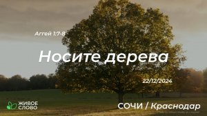 22.12.2024 | Краснодар | Носите дерева - Аггей 1:7-8 | Церковь "Живое Слово"