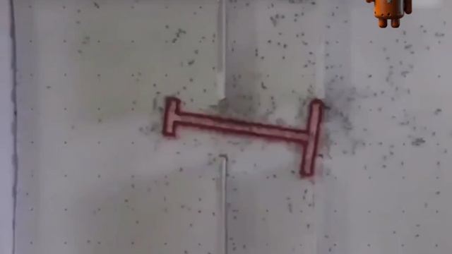 Муравьи умеют решать сложные логические задачи. Подробнее в статье в описании...