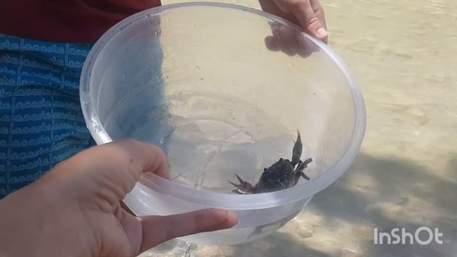 Анталия🏖как Собаки живут тут 🐶🌞