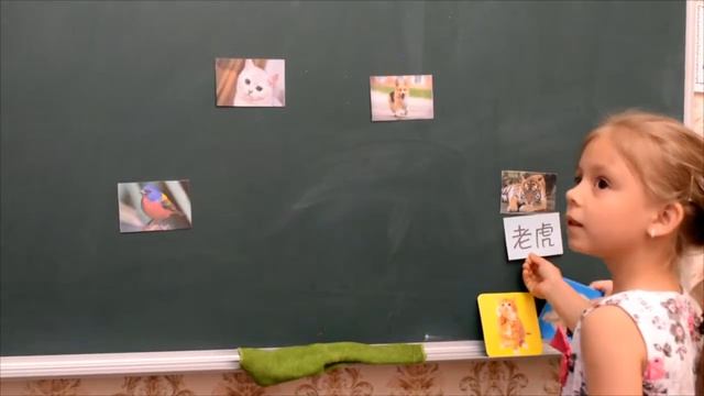 Знакомство с китайским языком / Урок #1 смотреть онлайн