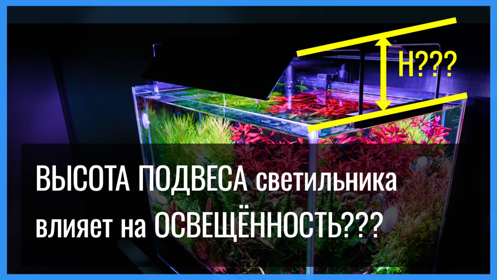 ВЫСОТА установки аквариумного СВЕТИЛЬНИКА над ВОДОЙ. Влияние на ИНТЕНСИВНОСТЬ ОСВЕЩЕНИЯ растений