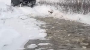 На ниве в брод!