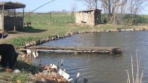 Первая рыбалка  с  пикером Volzhanka Pro Sport Dumchev 10ft 30+ 3.0м