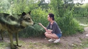 ФЭНТЕЗИ. Принцесса Фэранайк и оборотень.