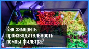 Как ЗАМЕРИТЬ фактическую ПРОИЗВОДИТЕЛЬНОСТЬ ПОМПЫ аквариумного фильтра. Какой ОБЪЕМ КАНИСТРЫ выбрать