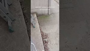 IP камера IMOU Cruiser 2 IPC GS7EP 5M0WE 5 Мп