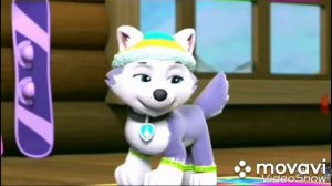 Эверест и Скай ( лучшая подруга)