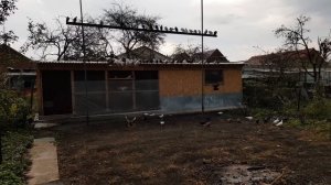 29.09.18.7.20 Утра до гона голубей.