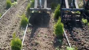 культиватор для питомников