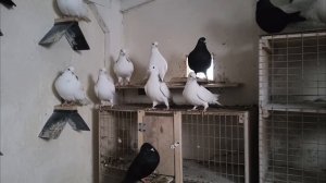 Настроение г..но.