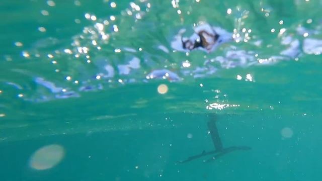Hydrofoiling in paradise || Testing the Ozone Apex V1