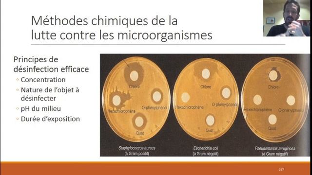 Lutte contre les microorganismes : Cours Microbiologie et immunologie (SI) смотреть онлайн