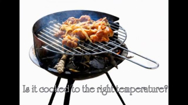 Food and Cookery - Digital Thermometer