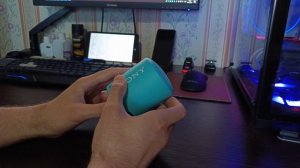 Быстрый обзор колонки Sony SRS-XB13