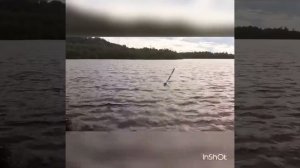 Яхта rc Орион , прогулки под парусом.