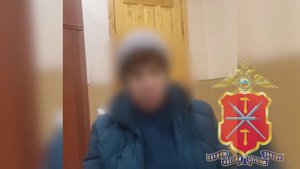 Пенсионерка из Кимовска рассказала полицейским о мотивах совершенного деяния