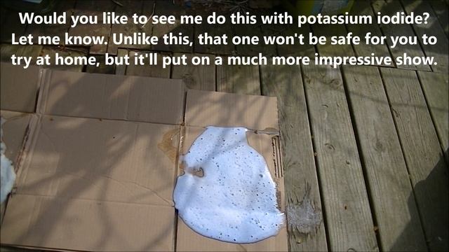 Elephant Toothpaste Science Experiment - What It Is And How To Do It Yourself смотреть онлайн