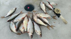 НАШЕЛ ЯМКУ И ПОНЕСЛОСЬ...РЫБАЛКА НА ПЛОТВУ