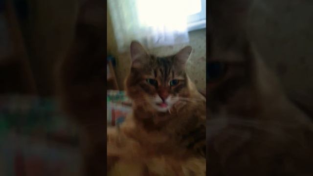 16 июня 2024 г. смотреть онлайн