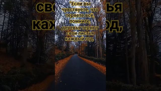 только вперёд #цитаты #сосмыслом #мир #жизнь