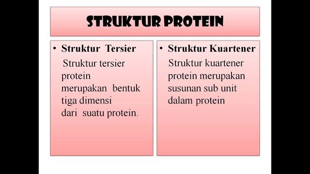 PROTEIN | KIMIA | KELOMPOK 3 | XII MIPA 4 SMAN 1 RENGAT смотреть онлайн
