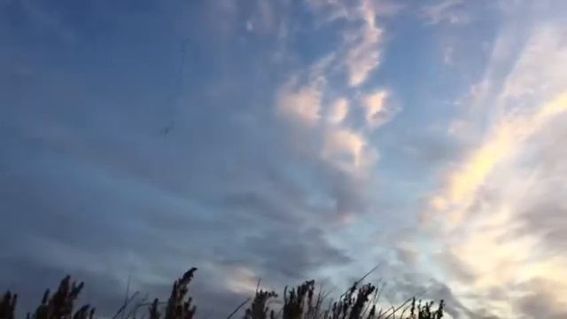 Охота на гуся