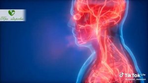 лавровый лист