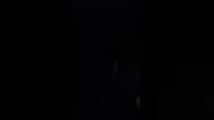 Волк вышел на дорогу в Крыму