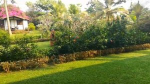 💝ИНДИЯ💝ГОА💝ОТЕЛЬ CHALSTON💝💝