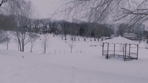 Новокуйбышевск,парк Победы за пять дней до Нового года