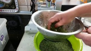 Результат приготовления ВЕГЕТТЫ из сухих трав на зиму.Часть вторая.