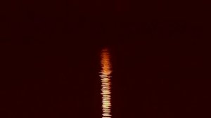 Камыши. Константин Бальмонт