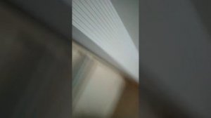 акула против желтобрюха. Акула перчатка