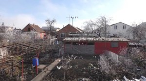 Голуби мои, Артёма и Ильи - Моздокские.My pigeons, Artyom and Ilya - Mozdok.