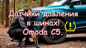 Omoda C5. Датчик давления в шинах.