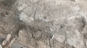 Mazda Demio замена подушек двс.