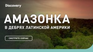 Амазонка.   В дебрях Латинской Америки