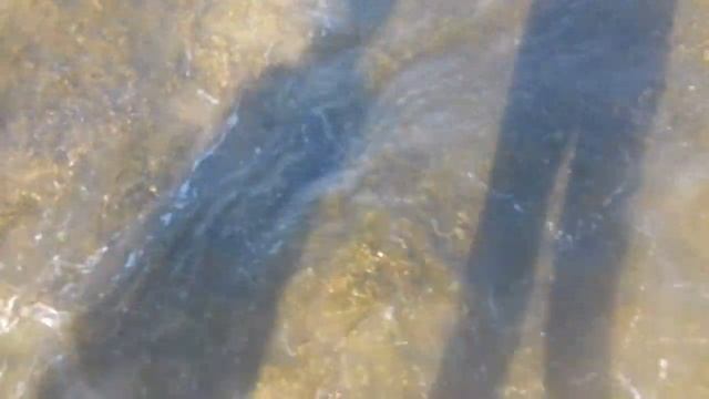 Арабатская стрелка 2017 Стрелковое смотреть онлайн