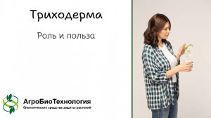 Триходерма. Роль и польза