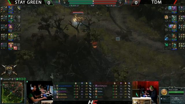 HoN Tour Grand Finals Championship Match - sG vs ex-tdM game 1