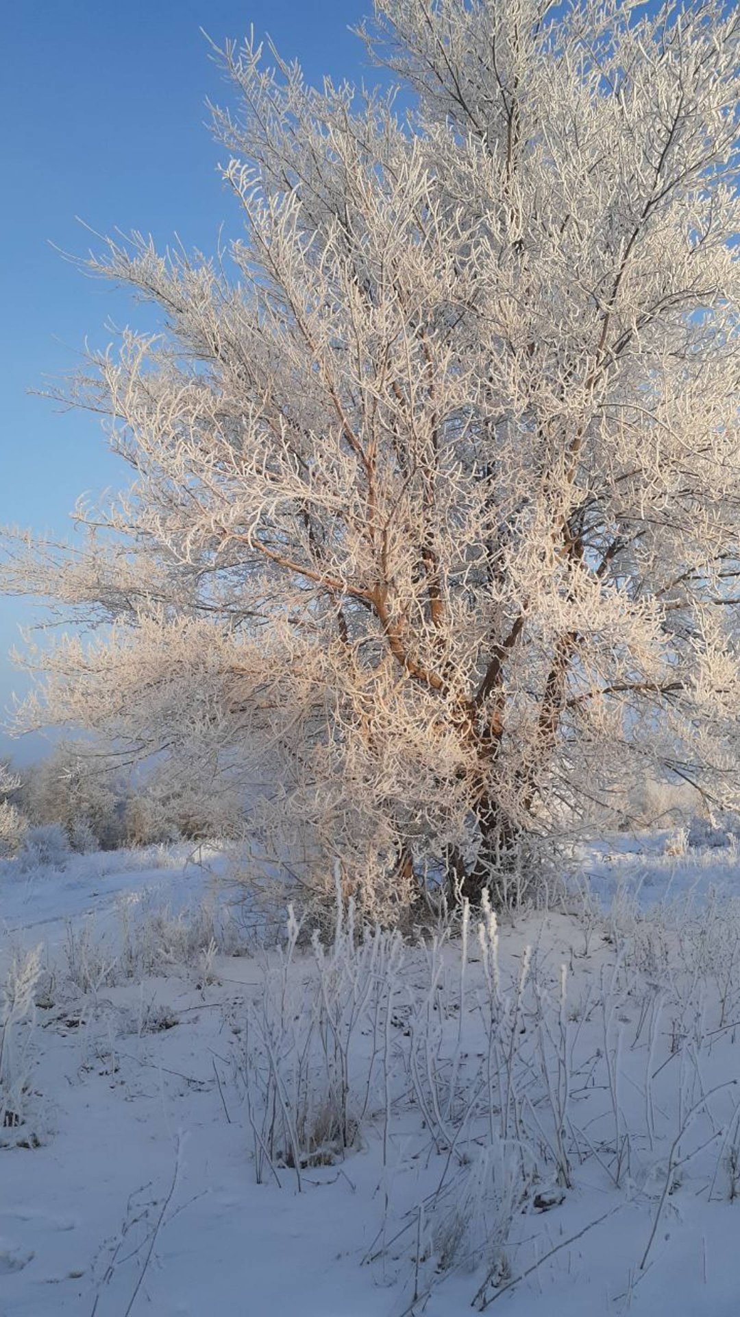 пейте в меру