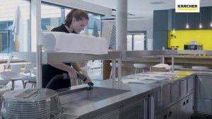 Karcher SGV 8/5 Professional Steam Cleaner