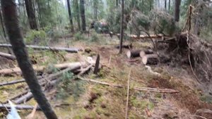 Эндуро гонка "Торопецкий рубеж", класс Хард, 30.04.2022