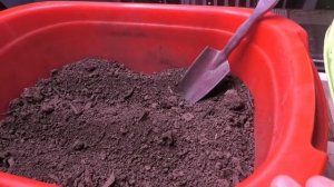 Какой рассадный грунт я использую для выращивания рассады