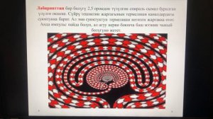 Табият таануу 5 класс Кантип угабыз?Кулак