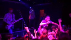 Щенки - Сублимация