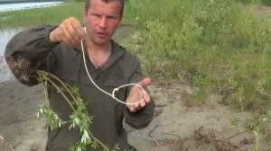 Щучий силок из корня ивы  (1 часть)